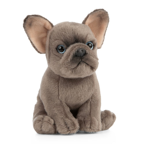 Living Nature French Bulldog Puppy