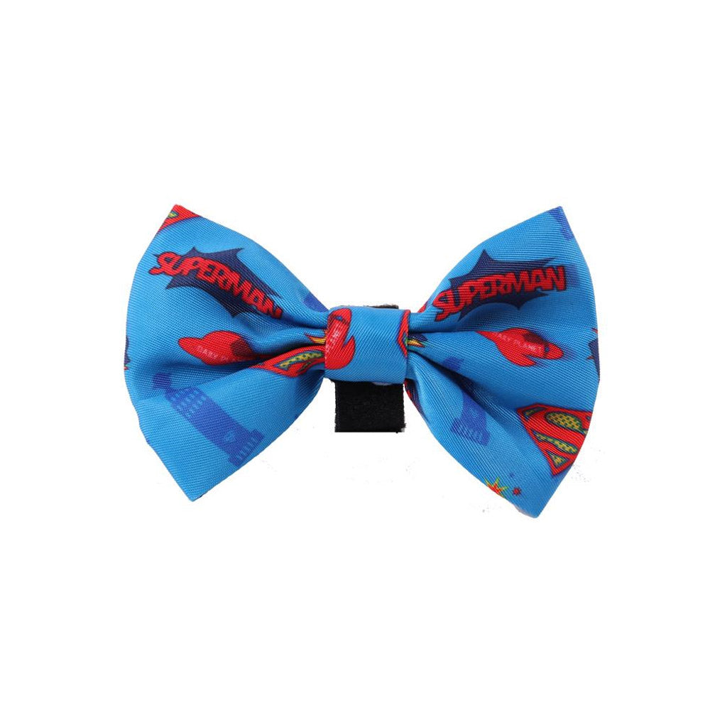 Warner Bros Dog Bowtie