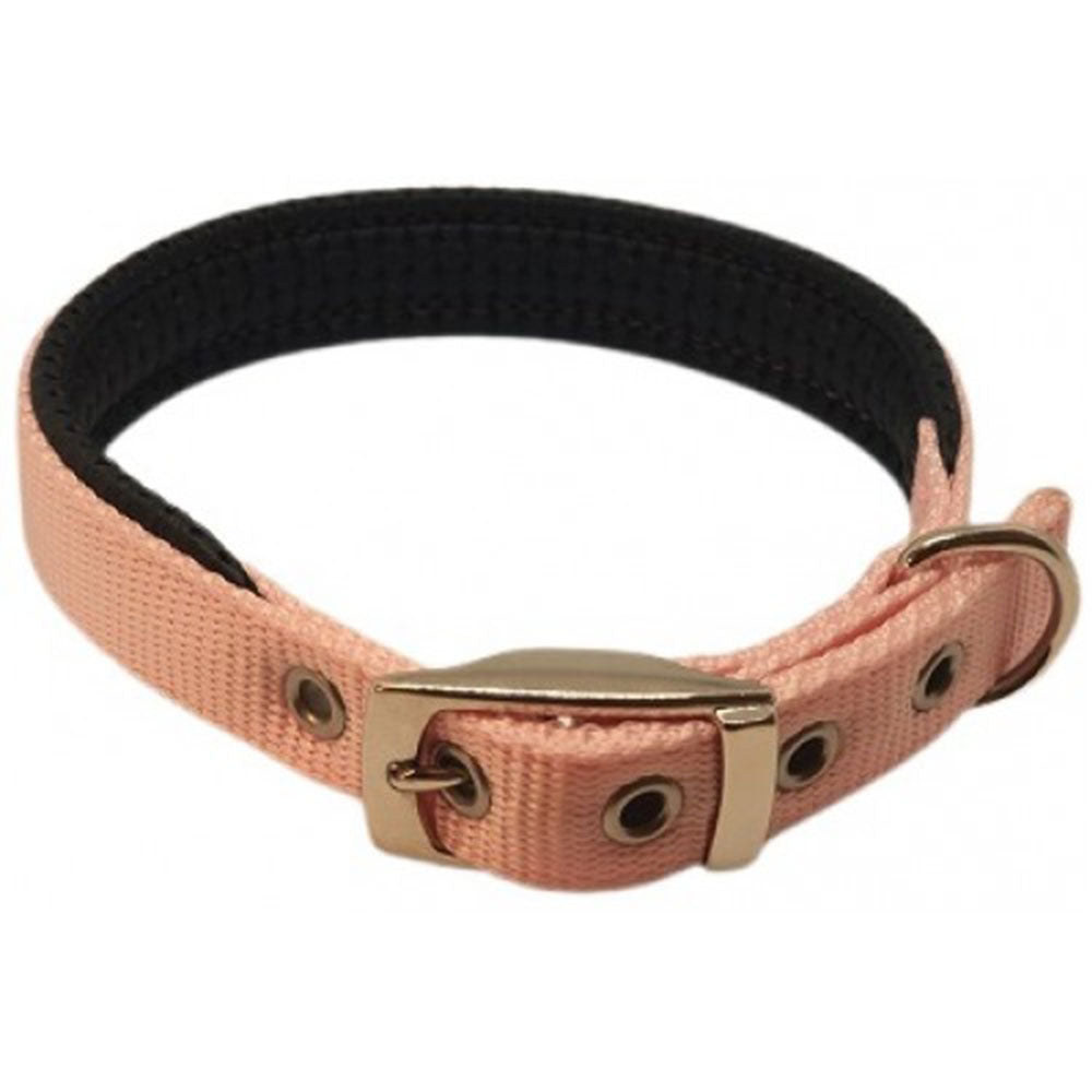 Nylon Padded Bird Collar 70cm