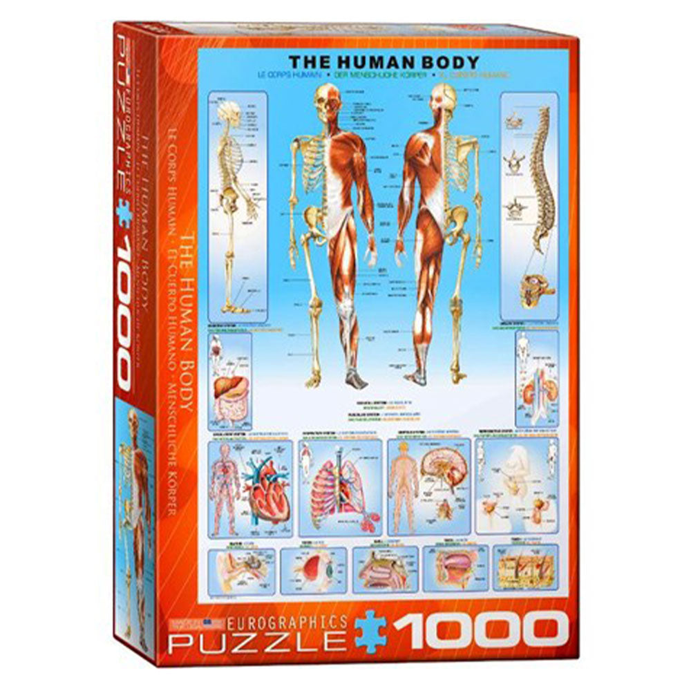 Eurographics the Human Body Jigsaw Puzzle 1000pcs