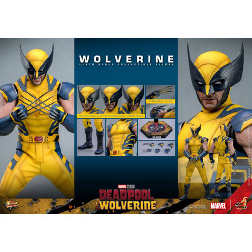 Deadpool & Wolverine Wolverine 1:6 Scale Collectable Figure