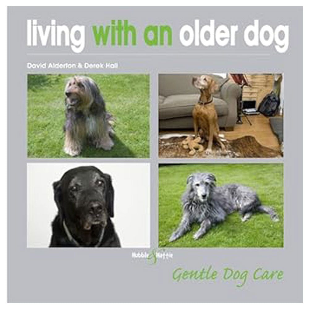 Living With an Older Dog Gentle Dog Care