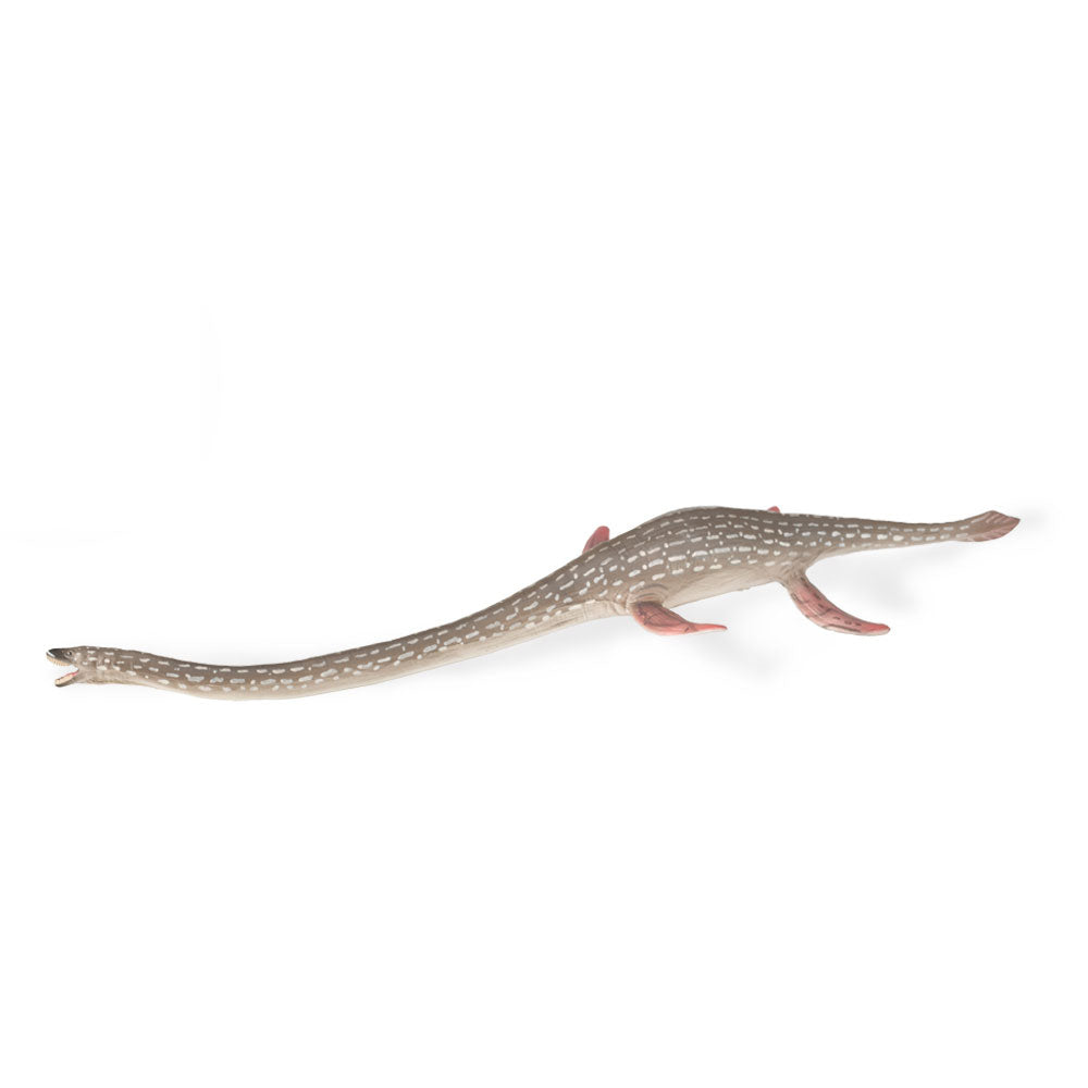 CollectA Elasmosaurus Figure (Large)