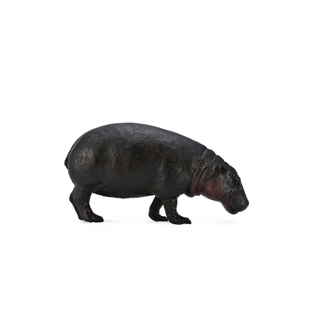 CollectA Pygmy Hippopotamus Figure (Large)