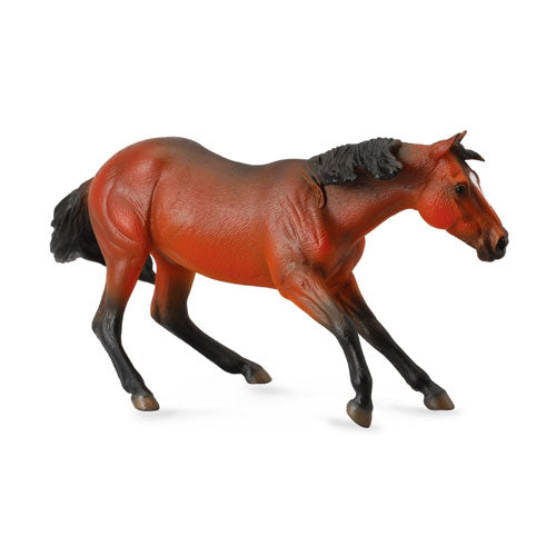 CollectA Quarter Stallion Figure (Extra Large)