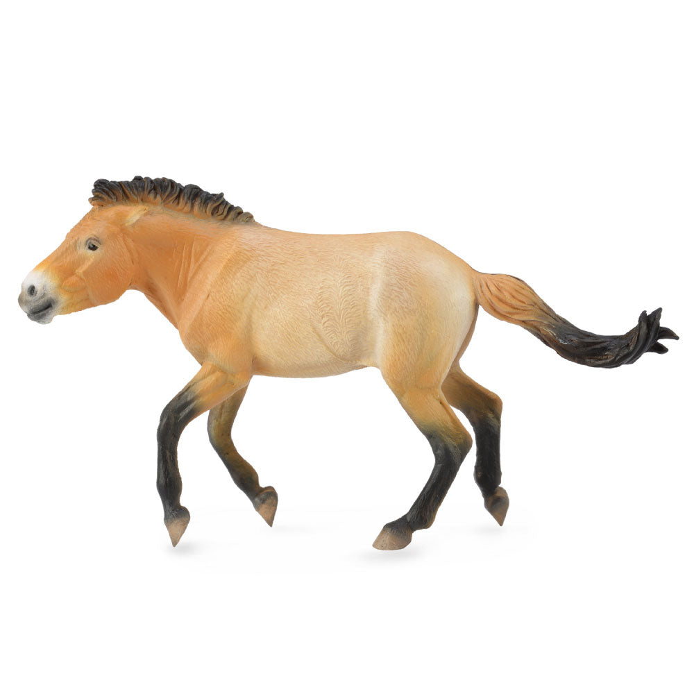 CollectA Przewalski Stallion Figure (Extra Large)