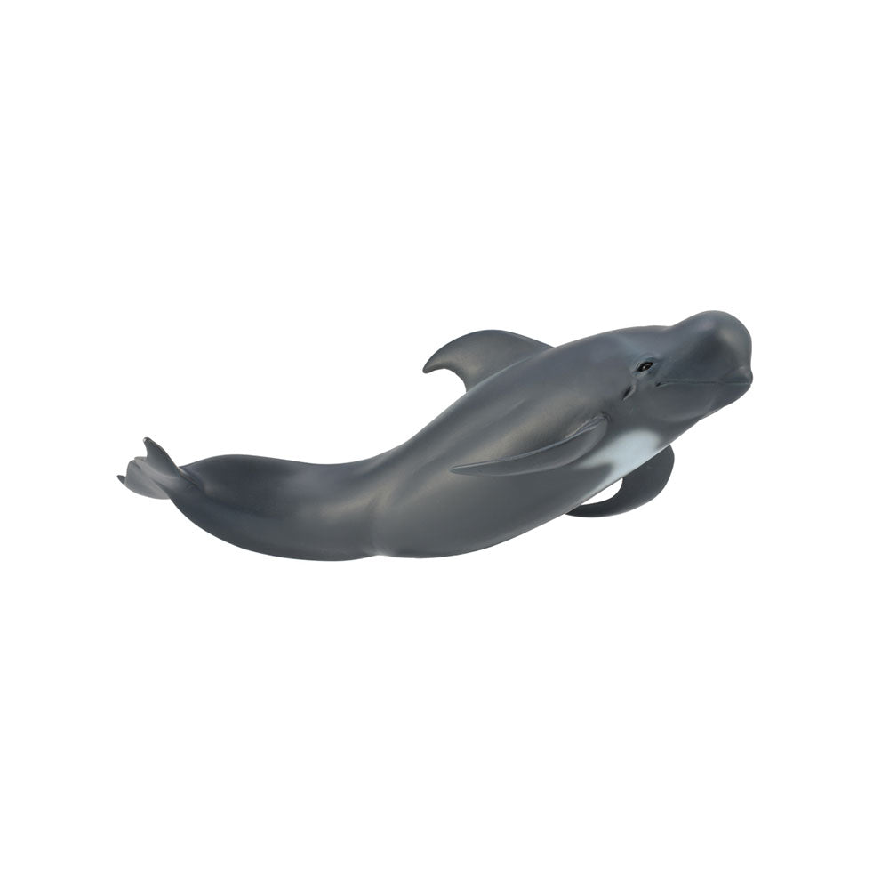 CollectA Pilot Whale Figure (Large)