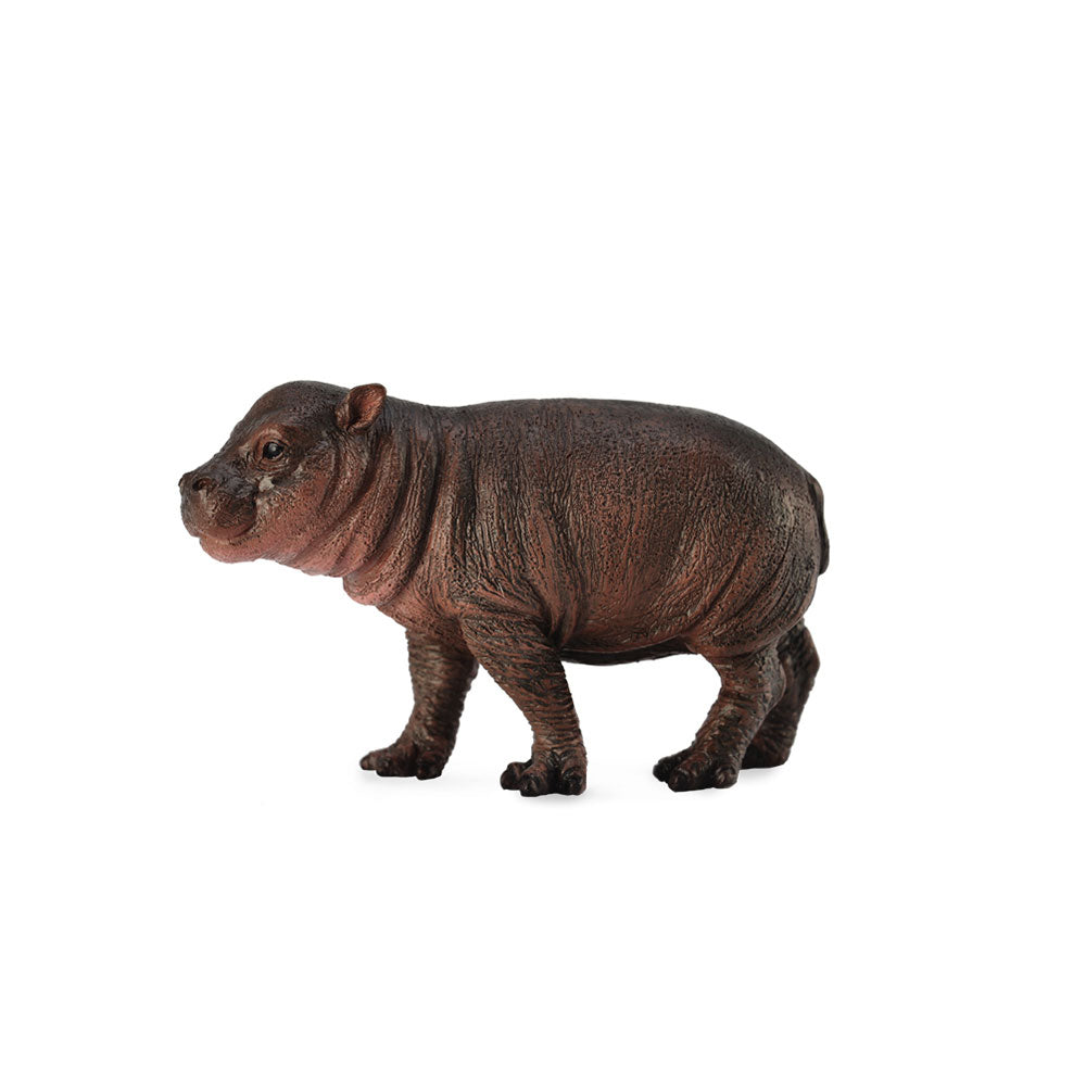 CollectA Pygmy Hippopotamus Calf Figure (Small)