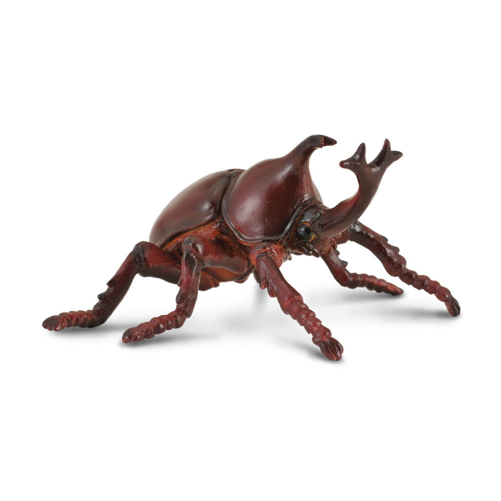 CollectA Rhinoceros Beetle Figure (Medium)