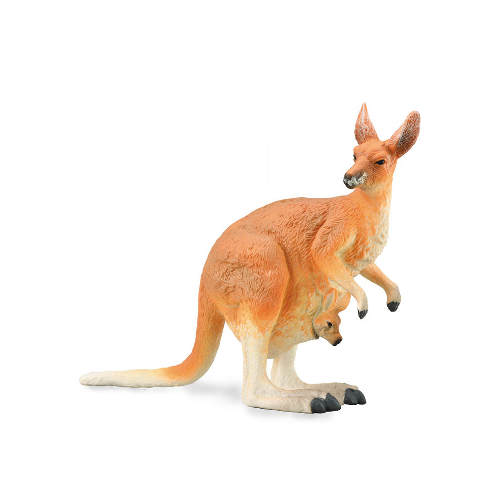 CollectA Red Kangaroo (Large)
