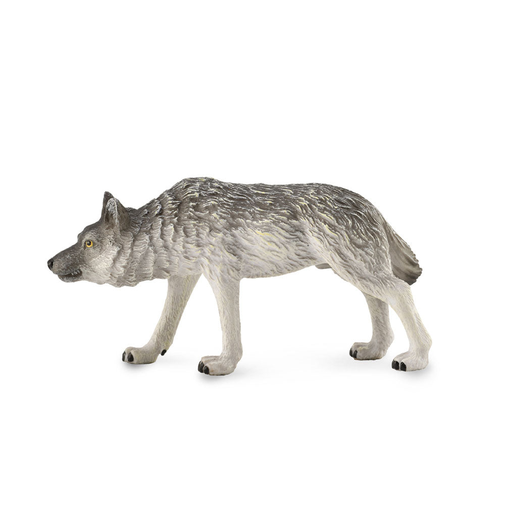 CollectA Timber Wolf Figure (Medium)