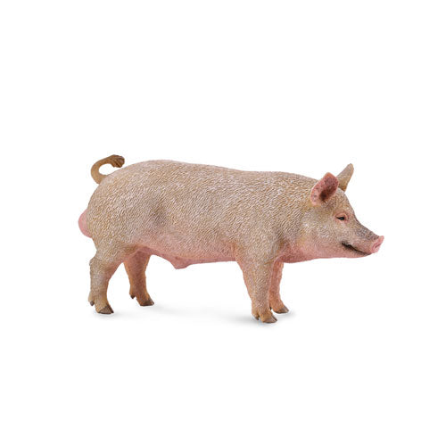 CollectA Pig Figure (Medium)
