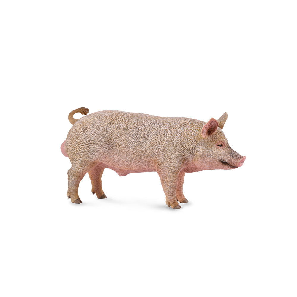 CollectA Pig Figure (Medium)