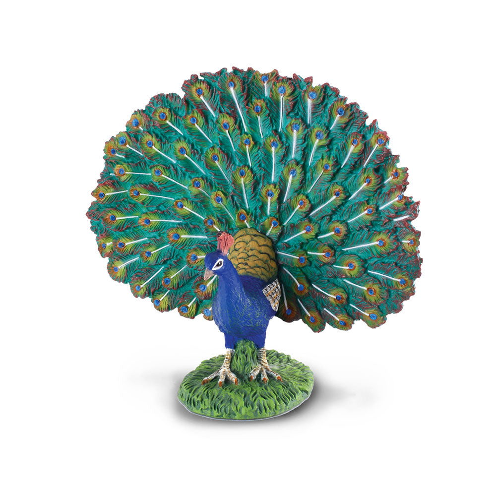 CollectA Peacock Figure (Large)