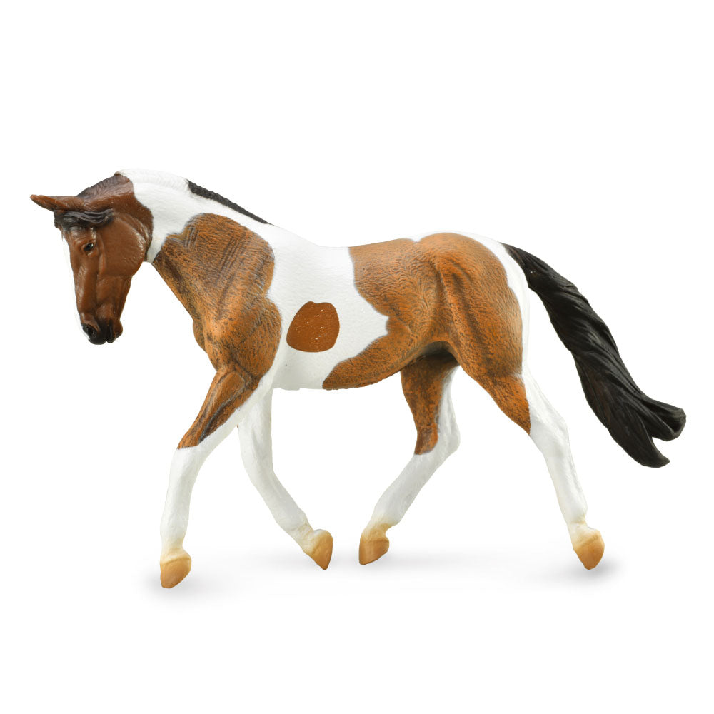 CollectA Pinto Mare Figure (Extra Large)