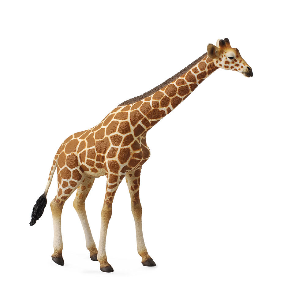 CollectA Reticulated Giraffe Figure (Extra Large)