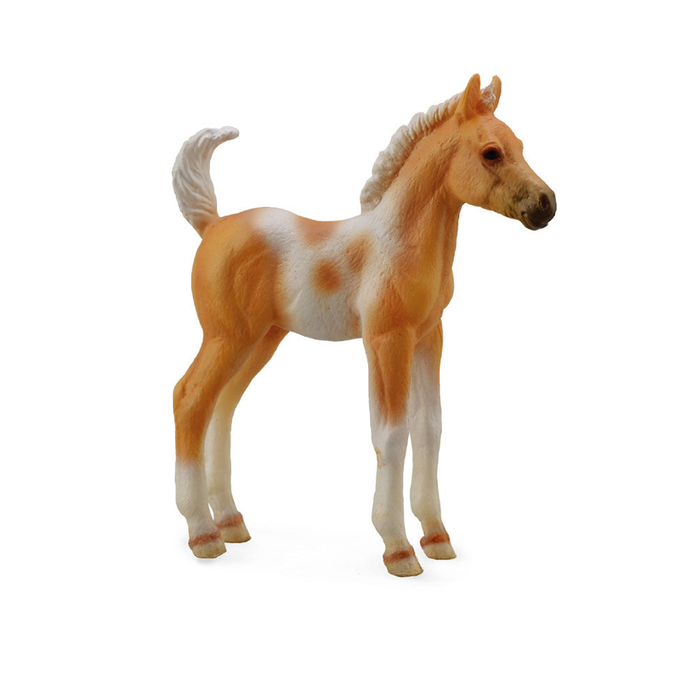 CollectA Pinto Foal Palomino Figure (Medium)