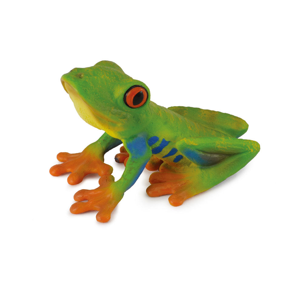 CollectA Red-Eyed Tree Frog Figure (Medium)