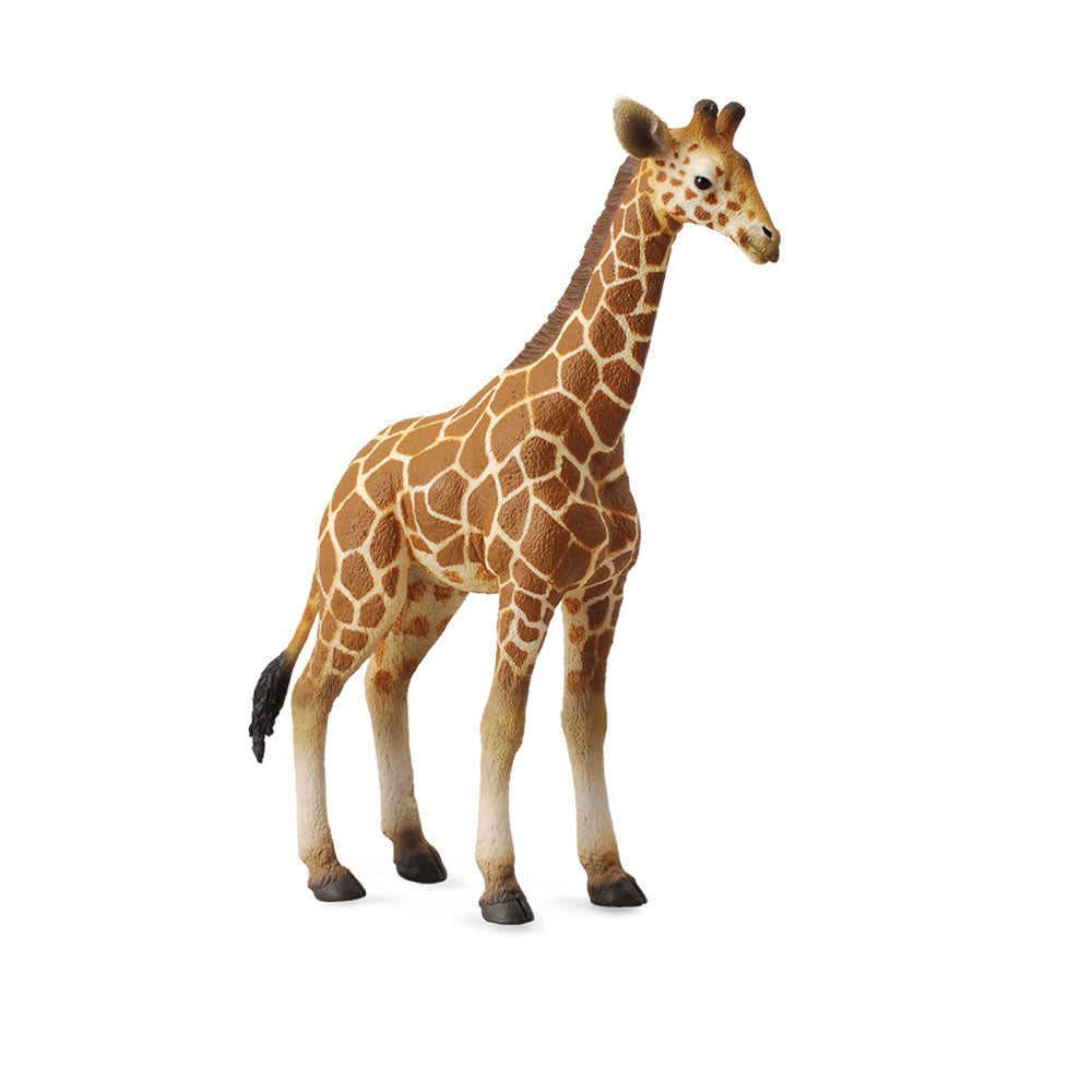 CollectA Reticulated Giraffe Calf Figure (Large)
