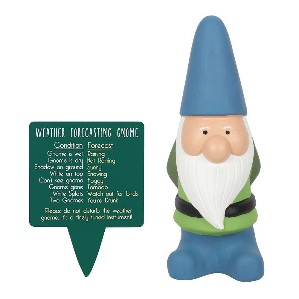 Large Blue Terracotta Weather Forecasting Gnome