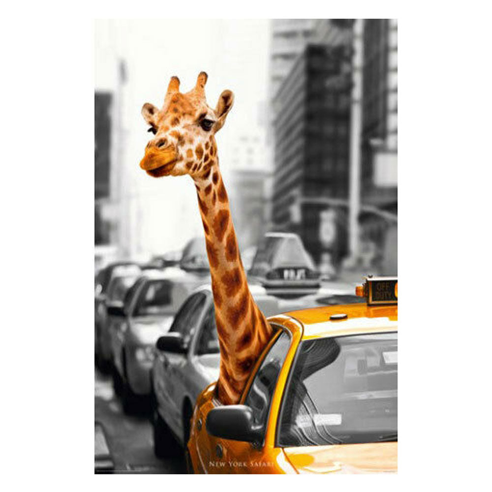 Giraffe NYC Taxi Cab Poster