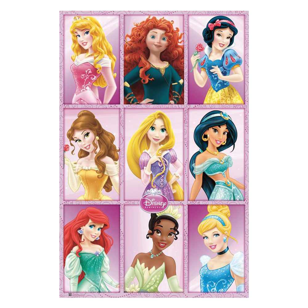 Disney Princesses Grid Poster